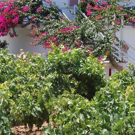 Aparthotel Villas Michalis 3*